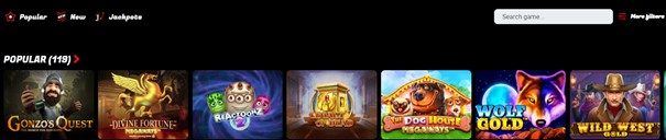 Sons of Slots Casino Spelaanbod